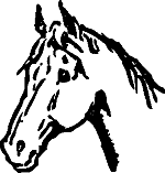 colorado horseback